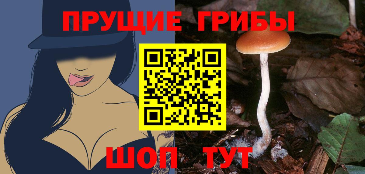 Полысаево  Псилоцибиновые грибы GOLDEN TEACHER  Псилоцибиновые грибы мухоморы  Вход с VPN 